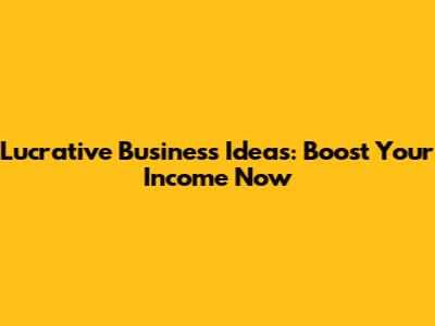 Lucrative Business Ideas: Boost Your Income Now
