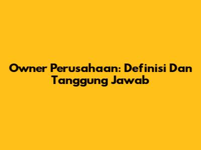 Owner Perusahaan: Definisi Dan Tanggung Jawab