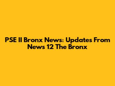 PSE II Bronx News: Updates From News 12 The Bronx